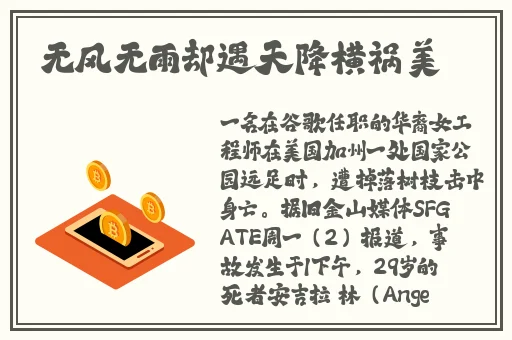 国产精品野外Av久久久